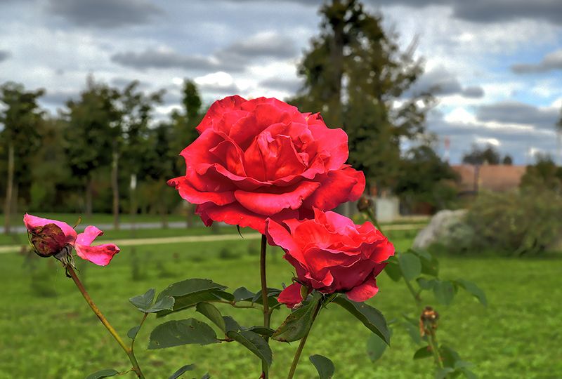 Dvorac Jurjevec eskterijer